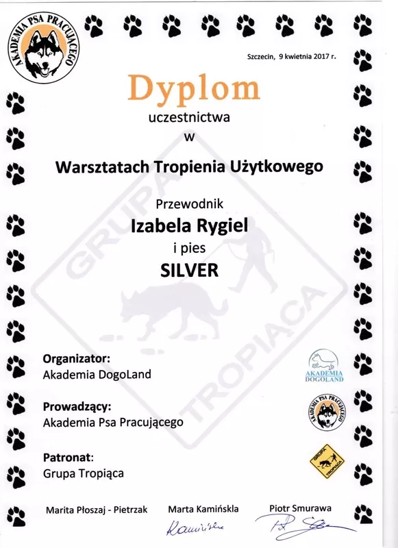 iza-rygiel-certyfikat-7