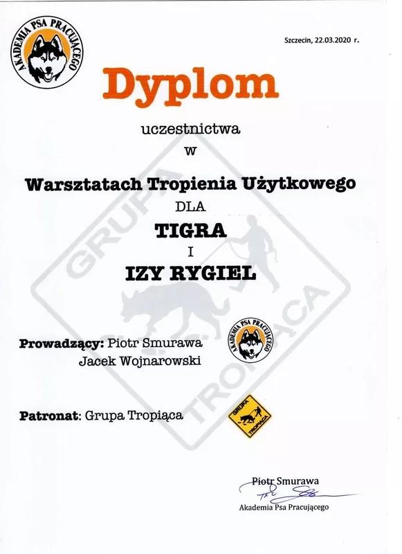 iza-rygiel-certyfikat-9