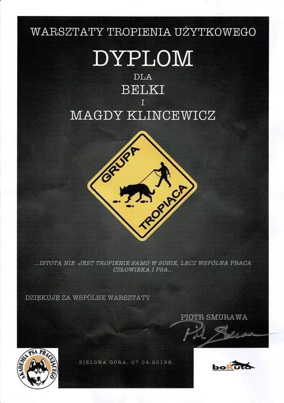 magda-klincewicz-certyfikat-12