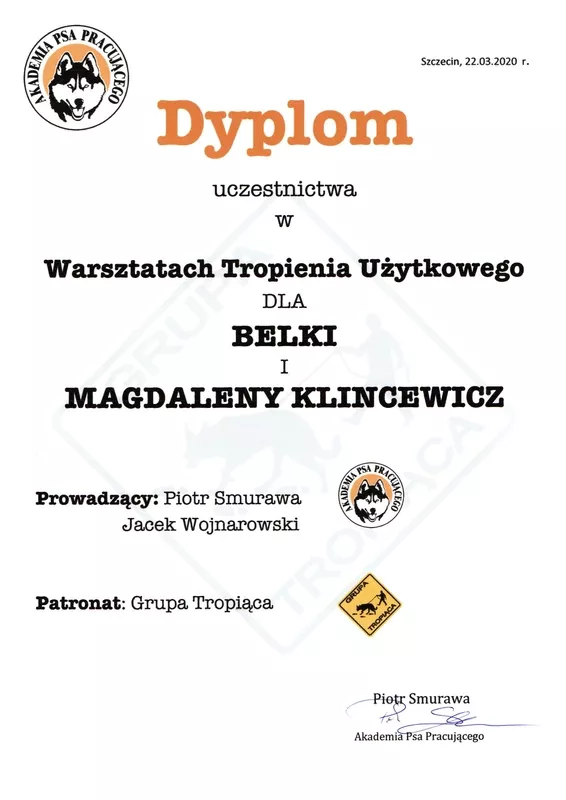 magda-klincewicz-certyfikat-15