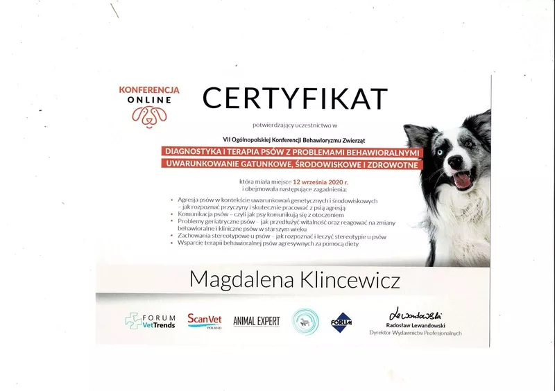 magda-klincewicz-certyfikat-18