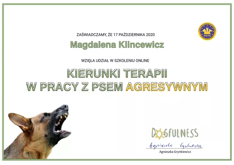 magda-klincewicz-certyfikat-20