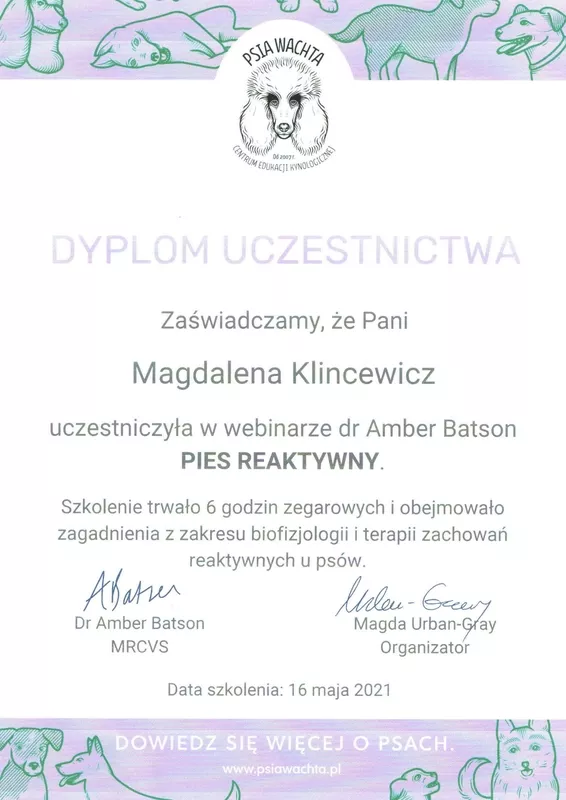 magda-klincewicz-certyfikat-32