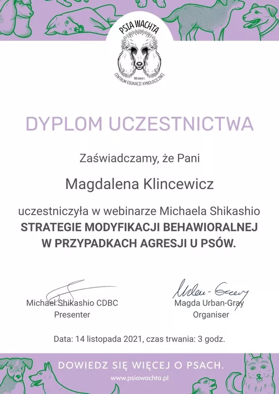 magda-klincewicz-certyfikat-39