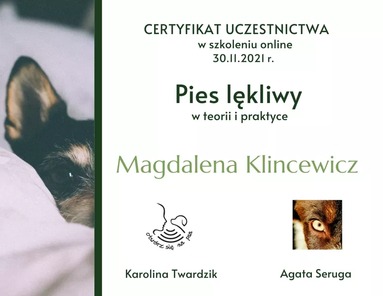 magda-klincewicz-certyfikat-41