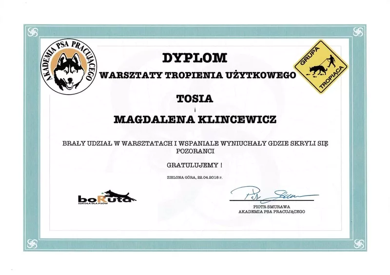 magda-klincewicz-certyfikat-5