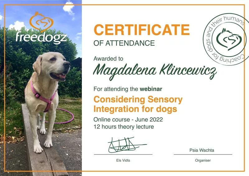 magda-klincewicz-certyfikat-58