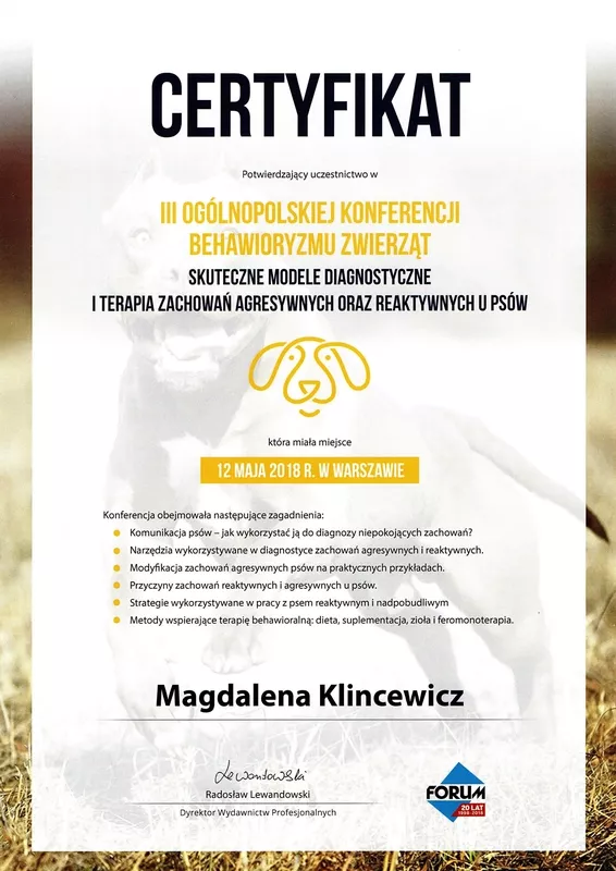 magda-klincewicz-certyfikat-6