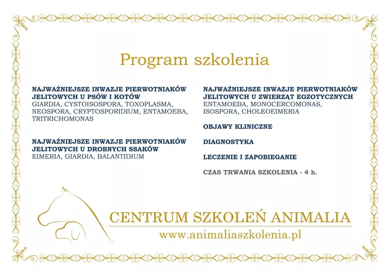magda-klincewicz-certyfikat-60