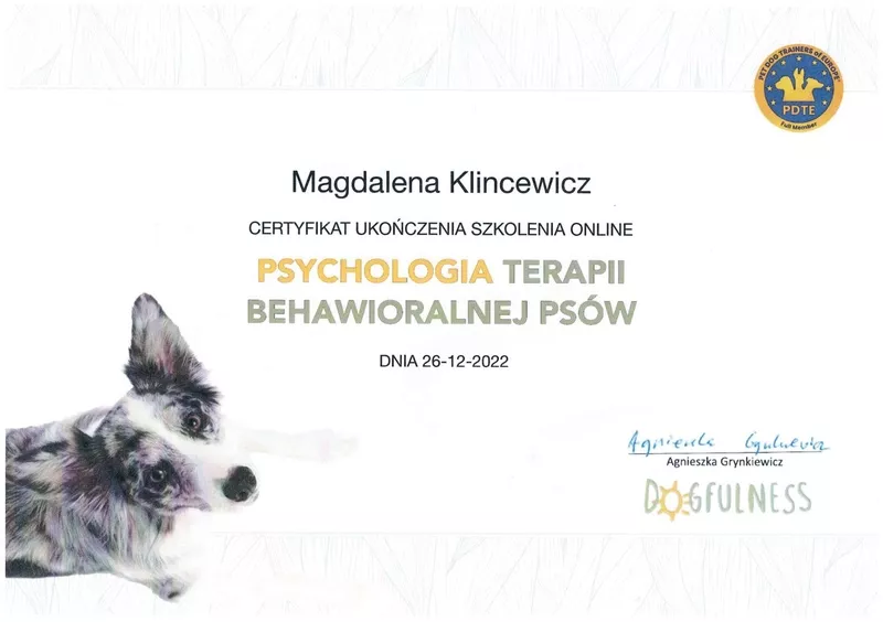 magda-klincewicz-certyfikat-64