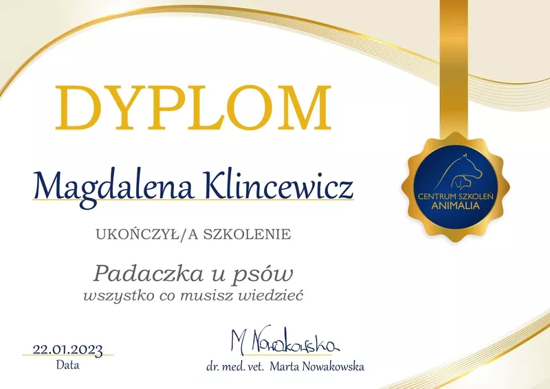 magda-klincewicz-certyfikat-65