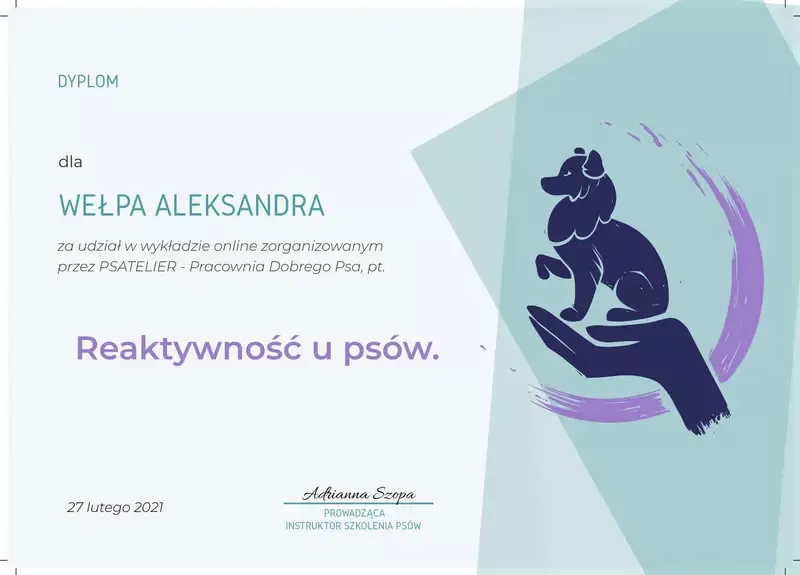 certyfikat-ola-fijalkowska-4