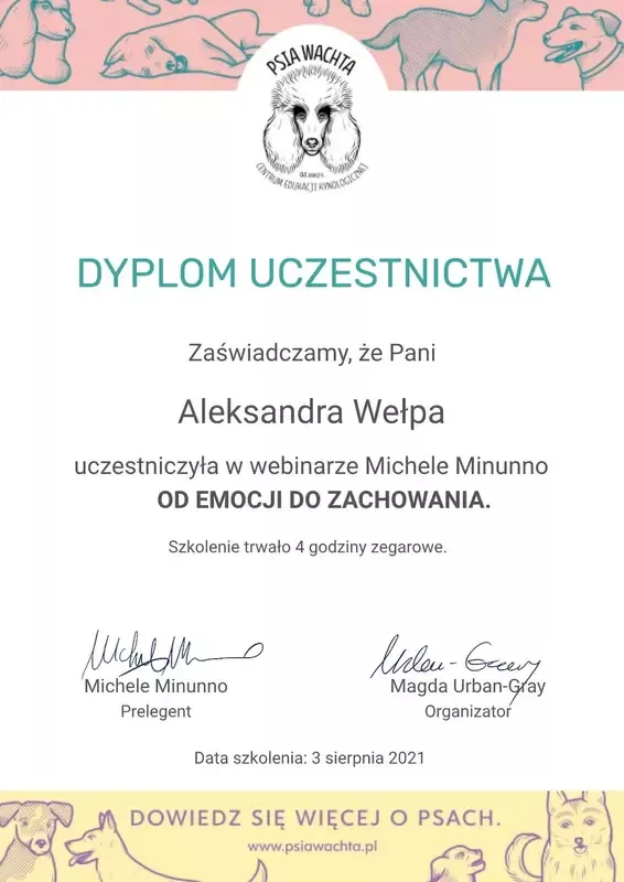 certyfikat-ola-fijalkowska-6