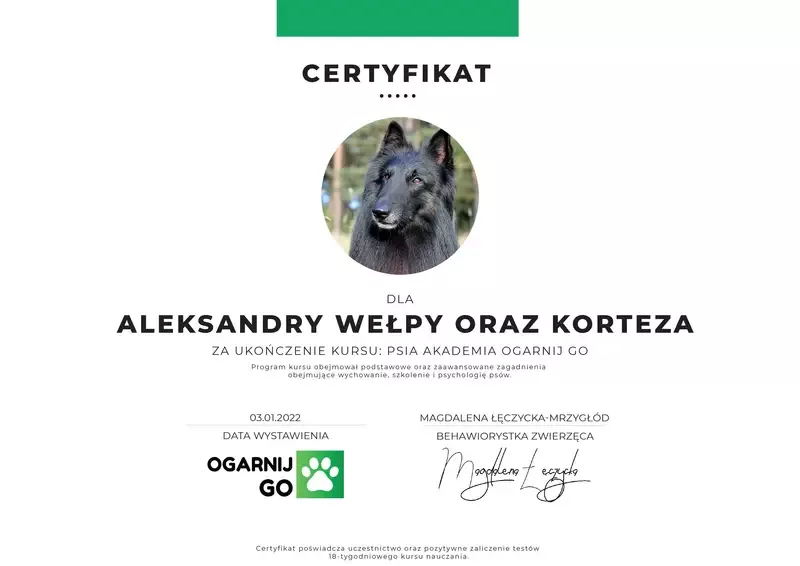 certyfikat-ola-fijalkowska-9